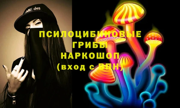 apvp Ростов
