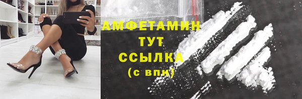 гидра Аркадак