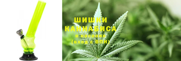 гидра Аркадак