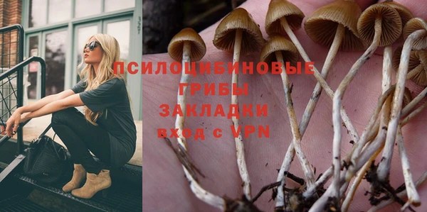 гидра Аркадак