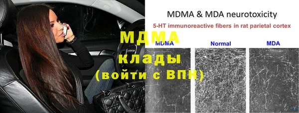 гидра Аркадак