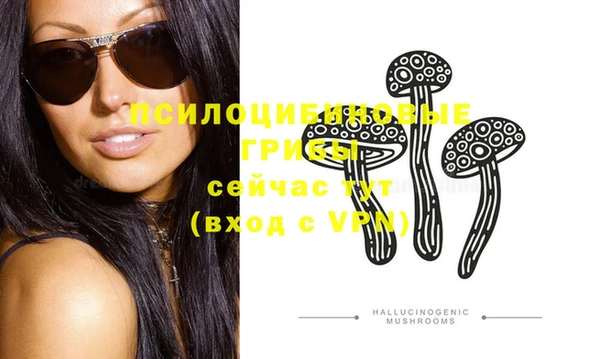 винт Армянск